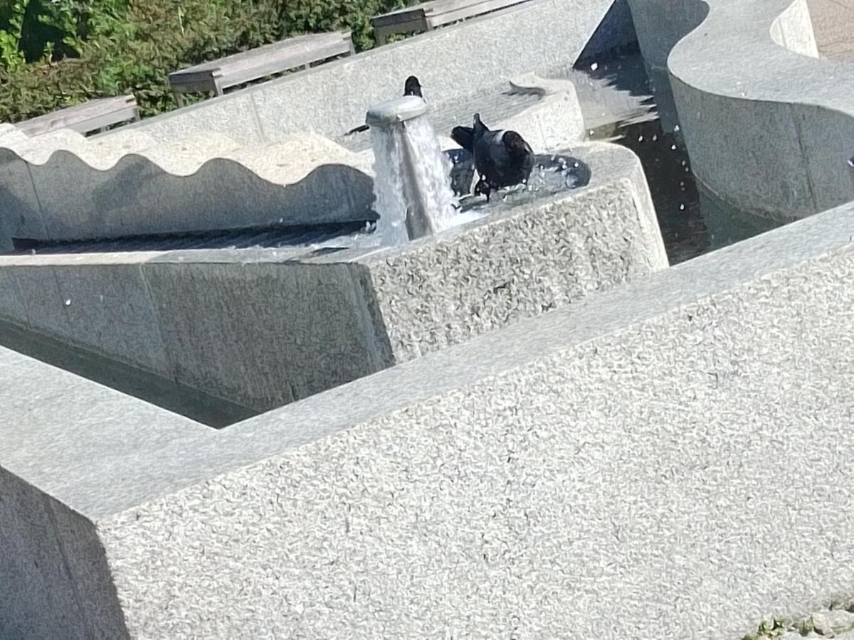 Dreapart Pruszcz Gdanski Luaran gambar